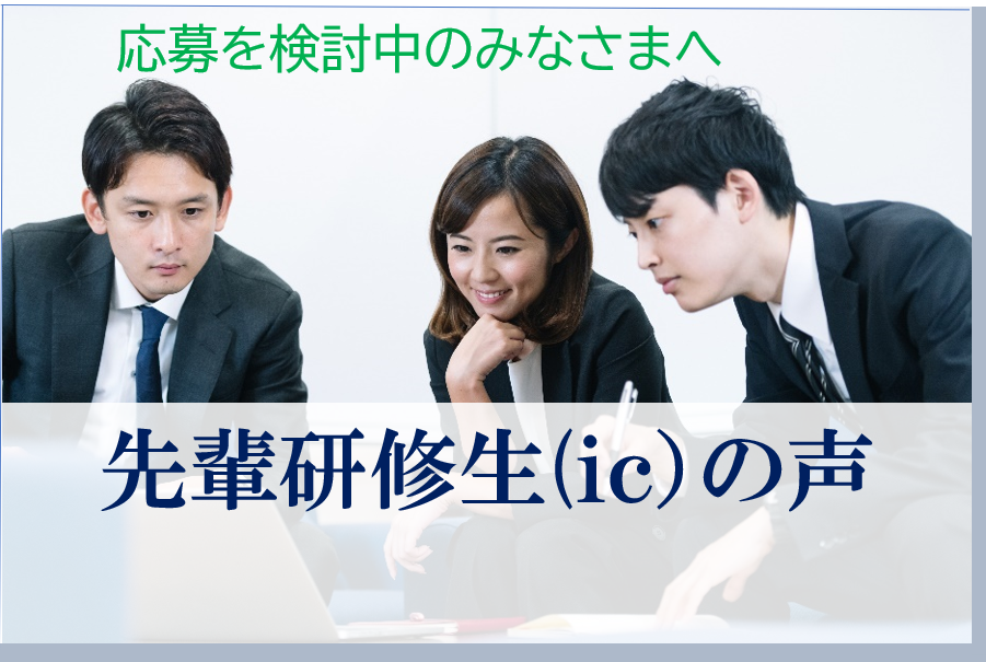 先輩研修生の声